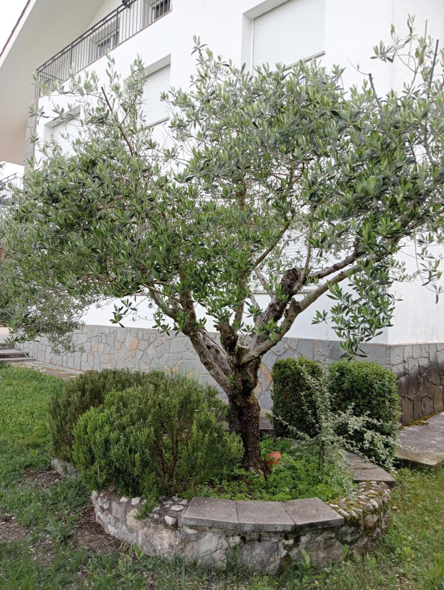 Apartamento-Casa Turistica L'Espigol San Lorenzo de Morunys Kültér fotó
